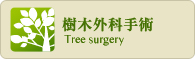 樹木外科手術
